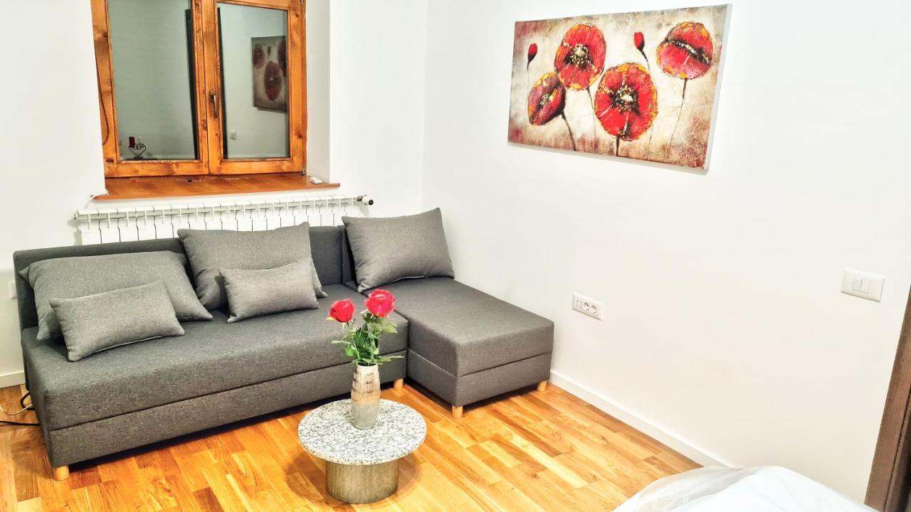 קלוז'-נאפוקה Spacious 5* Luxury In Historic Center Free Parking מראה חיצוני תמונה